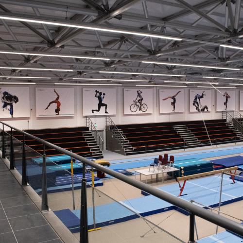Indoor sportgymnastiekhal met blauwe sportmatten, tribunes en posters van sportbewegingen.