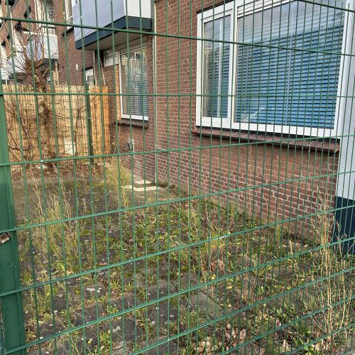 Door een groen gaashek is een overgroeide tuin en de bakstenen gevel van een woning met ramen te zien.
