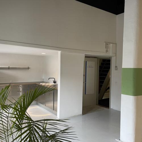 Een lichte, moderne woonkamer met een keukenhoek en een centrale pilaar met een groene band, geaccentueerd door kamerplanten.