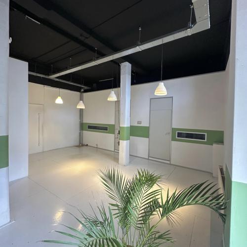 Modern lichte lobby met donker plafond, witte wanden en palmenblad in de voorgrond.
