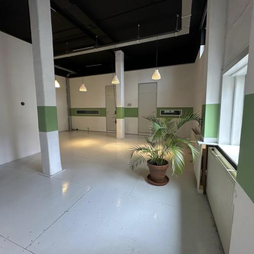 Lege, lichte hal met donker plafond, pilaren en groen accent. Een plant staat bij het raam.