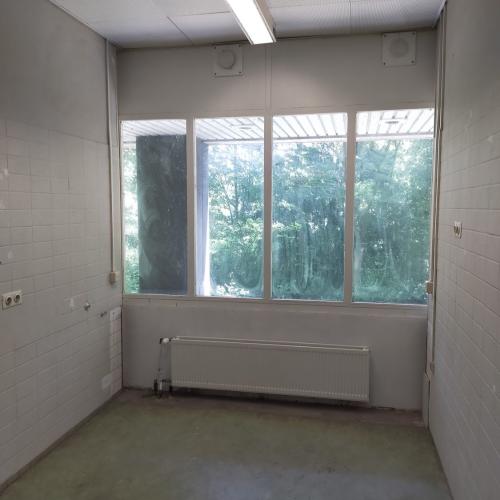Lege, moderne kamer met groot raam overzicht op groen en radiator eronder.