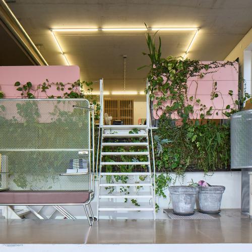 Binnenruimte met een groene, moderne sfeer, featuring een ladderopstelling, plantenwand en roze en groene accenten.