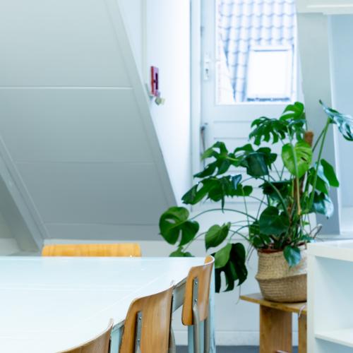 Groen levend plantenarrangement staat op een tafel in een lichte, moderne kamer naast een raam.