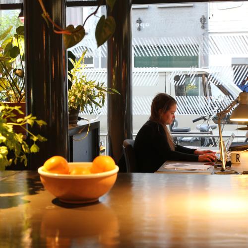 Vrouw werkt in een zonnig café. Op de tafel staan planten, een sinaasappelkom en een laptop.